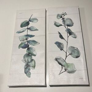 Plant Frames pack of two